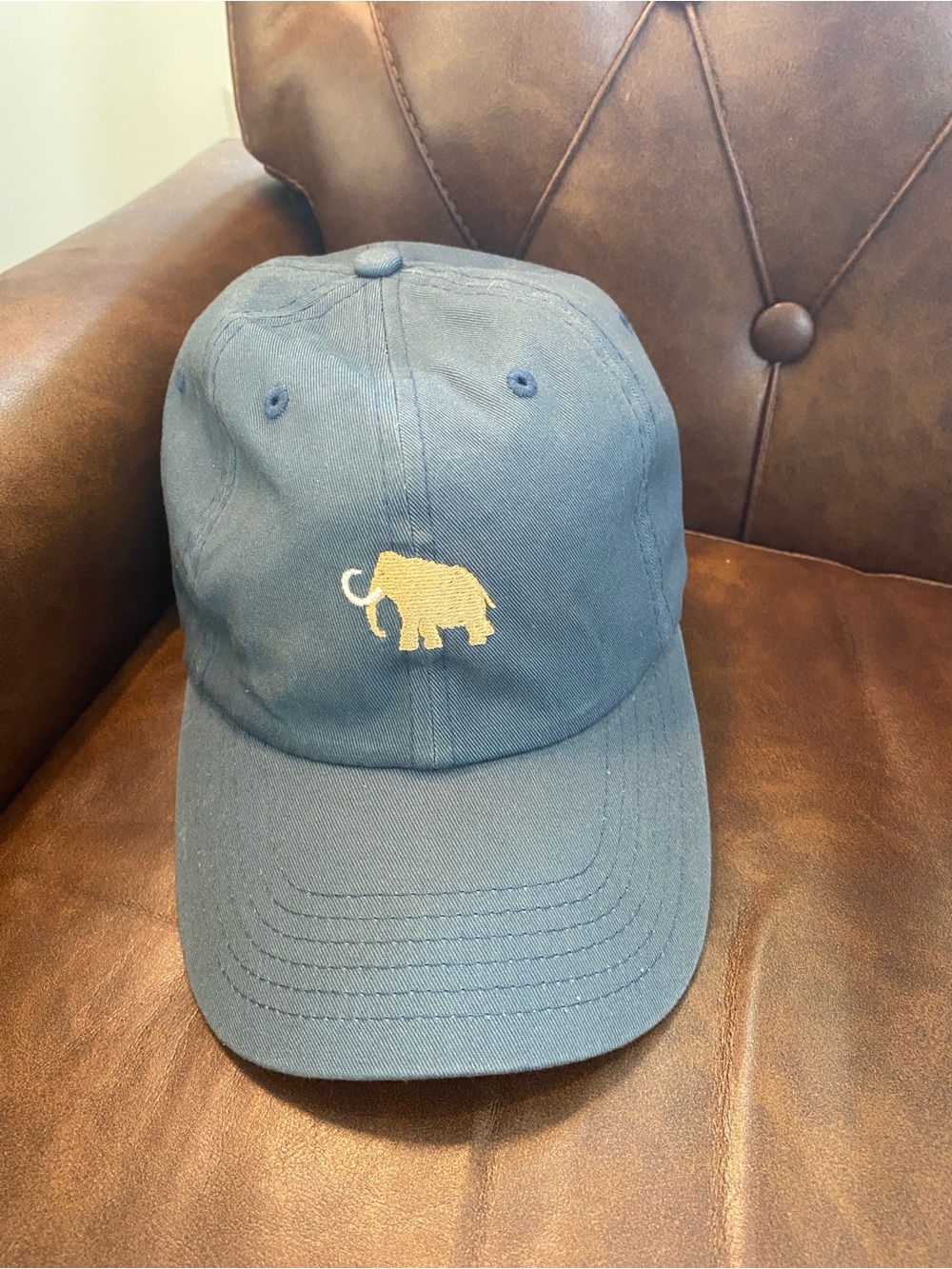 Imperial Mammoth Dunes Sand Valley Resort Performance Golf Hat Adjustable Strap